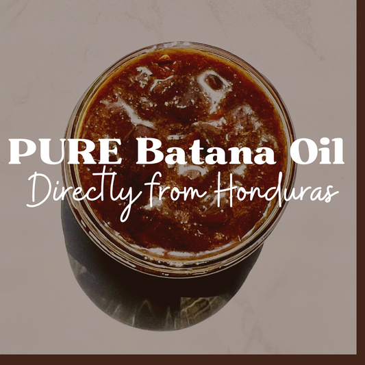 Batana Oil: Directly From La Moskitia Village, Honduras